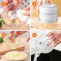 Y3Electric Mini Garlic Chopper Portable Food Chopper,Wireles Small Blender for Pepper Chili Vegetable Nut Meat 100ML