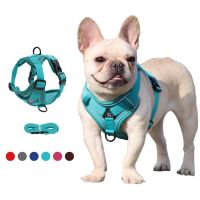 【FCL】☏ 2023 Reflective Breathable Designer Dog Harness Chest Custom Set for