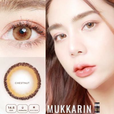 คอนแทคเลนส์ Wink Lens Mukkarin(Gray,Brown) ค่าสายตา 0.00 ถึง -10.00