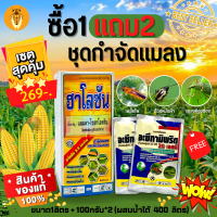 ? ชุดกำจัดแมลง (ฮาโลซัน+อะซีทามิพริด) 1ลิตร+100กรัม*2ซอง ซื้อ1แถม2‼ กำจัดเพลี้ยและแมลงปากดูด