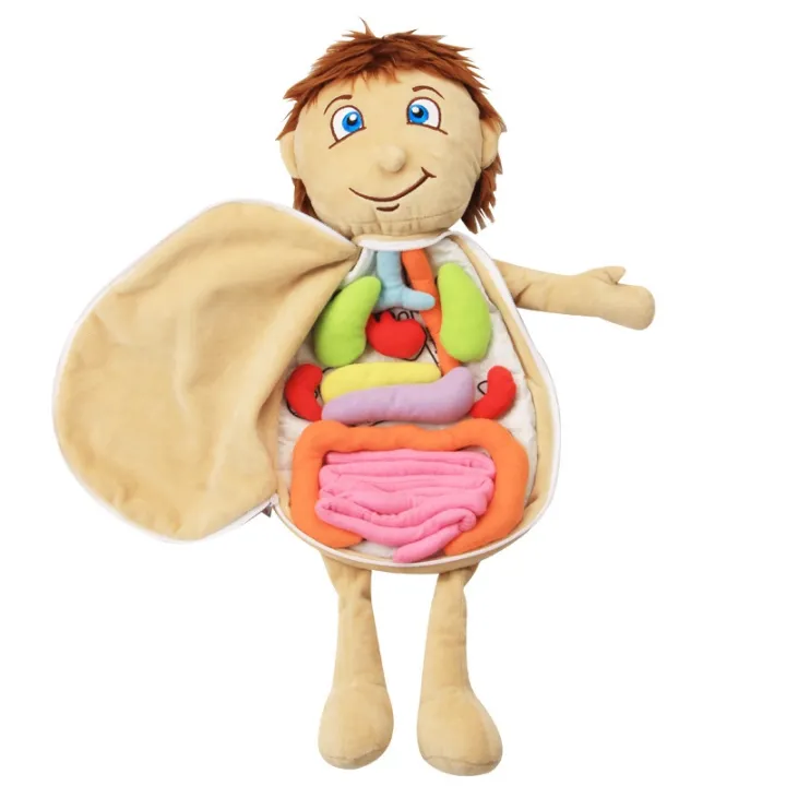 Kids Assembled Plush Body Organs Toy Human Body Anatomy Plush Doll