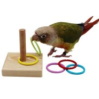 Bird Training Toys Set Wooden Block Puzzle Toys for Parrots Colorful Plastic Rings Intelligence Training Chew Toy для попугаев