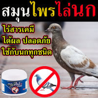 ?ของแท้ ส่งในไทย?  (ได้ผล100%) ผงไล่นก 100 กรัม ทำจากสมุนไพร100% ไล่นกพิราบ ที่ไล่นก เจลไล่นก