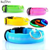 LED Pet Nylon Dog Collar Light Night Safety Flashing Glow In The Dark Dog Leash Dogs Luminous Fluorescent Collars Collar Perro Leashes