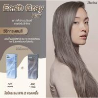 Berina ครีมย้อมผมเบอริน่า Earth Gray A21+A38 (รวม 2 กล่อง)