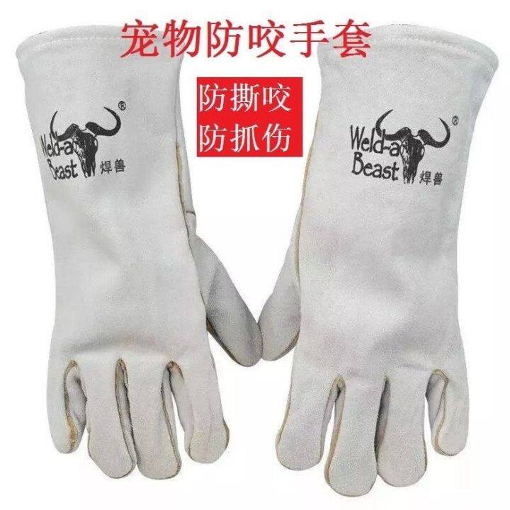 high-end-original-snapping-turtle-anti-gnawing-anti-squirrel-anti-bite-gloves-golden-retriever-training-dog-anti-cat-scratch-safety-laboratory-anti-scratch-anti-scratch