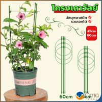 Orna โครงเถาวัลย์ เสามะเขือเทศ โครงปลูก อุปกรณ์สำหรับพืชไม้เลื้อย 45cm 60cm plant trellis