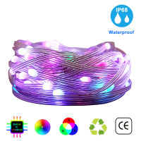 DC5V WS2812B Led String Individually Addressable 3PIN 5050 RGB Strip Light Smart Dream Color Christmas Party Decoration IP68