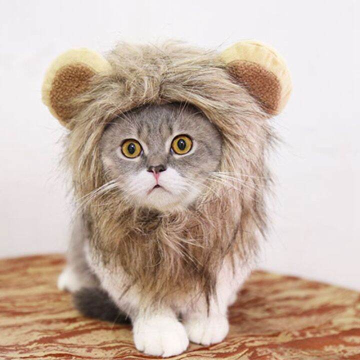 NCE7182 Loài chó Những con mèo Dễ thương Buồn cười Tương tác Đồ dùng cho thú cưng Trang phục Cosplay Lion Mane Wig Cap Dog Cat Cap Quần áo cho thú cưng | NCE7182 Loài chó Những con mèo Dễ thương Buồn cười Tương tác Đồ dùng cho thú cưng Trang phục Cosplay Lion Mane Wig Cap Dog Cat Cap Quần áo cho thú cưng |