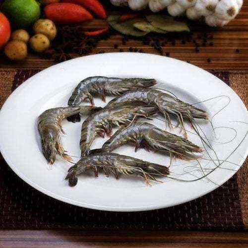 Head On Shrimp 500 grams Lazada PH