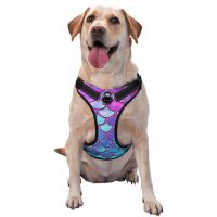 Dog Harness Pet Dog Chest Harness Vest Puppy Harness Outdoor Sports Pet Harness Traction Rope Suitable for Small and Medium Dogs