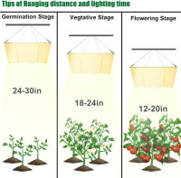 Grow Light 225Pcs Samsung Quantum LED Plant Light Board Diode UV IR รวม650W Full Spectrum Phyto โคมไฟสำหรับพืชในร่ม