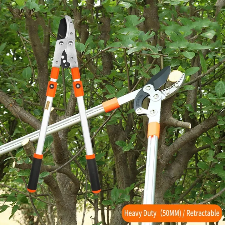 【Heavy Duty（50MM) / Retractable】Extendable Garden Pruning Shears