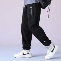 Men Spring Summer Joggers Pants Loose Casual High Street Baggy Trouser Sport Hong Kong Style Fashion Harajuku Oversize Pants