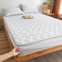 ผ้าคลุมเตียงล้างทำความสะอาดได้ Single Double Queen Size Fitted Bed Sheet Grey White Green Mattress Protector, No Pillowcase