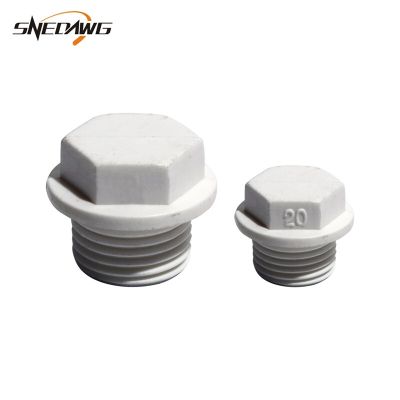 2pcs PVC-U Water Pipe Plug with Thread 20/25/32/40/50mm Water Pipe Supply End Cap Pipe Fittings Accessories