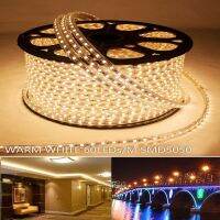 ไฟเส้น LED ROPE LIGHT แบบแบน AC 220v Warm white ยาว 100เมตร