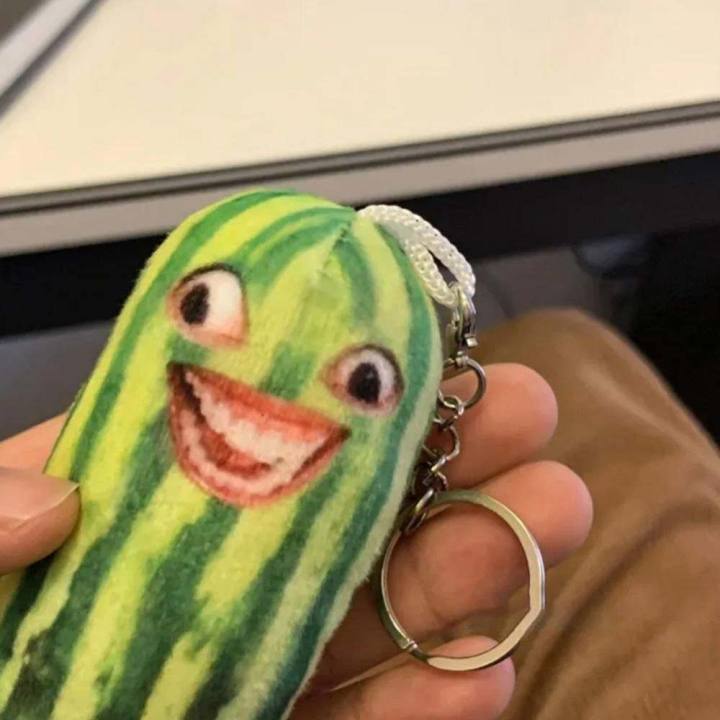 key-pendant-schoolbag-pendant-keychain2-funny-talking-watermelon-strips-keychain-backpack-fruit-doll-plush-keyring-keychains