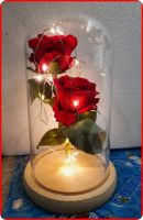 กุหลาบในโดมแก้ว โหลกุหลาบ HOT Beauty And The Beast Forever Rose With LED Light In Glass Dome  ของขวัญ วาเลนไทน์ สินค้าพร้อมส่งรวดเร็ว รับประกันสินค้า