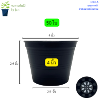 กระถางต้นไม้ 4 นิ้ว กระถางต้นไม้พลาสติก กระถางปลูกบอน กระถางแคนตัส กระถางต้นไม้สีดำ 4 นิ้ว 50 ใบ 100 ใบ