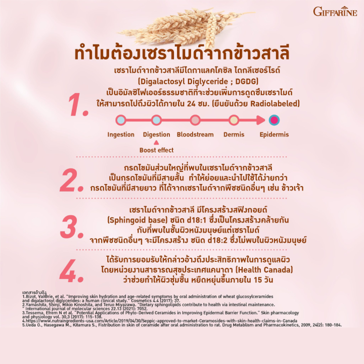 บอกลาผิวแห้ง-วีท-เซราไมด์-พลัส-wheat-ceramide-plus-ผู้ที่กังวลเรื่องริ้วรอย-ผู้ที่ต้องการดูแลผิวเป็นพิเศษ-ขนาด-30-เม็ด-กิฟฟารีนของแท้