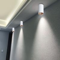 Cylinder Livingroom Kitchen Bedroom Foyer Offcer Rose Gold Dimmable LED Ceiling lights 5W 10W 15W 20W Ceiling lamp