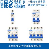 Chint NXB-63125 small circuit breaker household air conditioner home decoration switch 1P2P3P4PDZ47-63 upgraded model