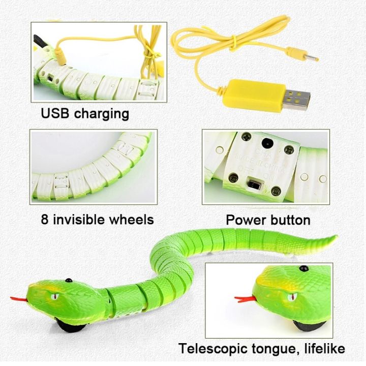 rc-remote-control-snake-toy-for-cat-kitten-egg-shaped-controller-rattlesnake-interactive-snake-cat-teaser-play-toy-game-pet-kid