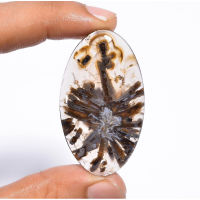 1 pc Natural  Turkey Agate 2-3 cm Polished Cabochon Stone / Top High Quality Stone / Jewelry Stone Healing Chakra