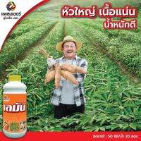 เลมัน ขนาด 1 ลิตร หัวใหญ่ เนื้อแน่น น้ำหนักดี ด้วยเลมัน