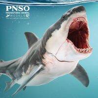 PNSO โมเดลสัตว์ยุคก่อนประวัติศาสตร์: 15Patton The Megalodon (ฉลามขาวตัวใหญ่) 6.2  "สัตว์ประหลาดทะเลโบราณ