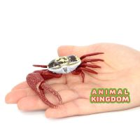 Animal Kingdom - โมเดล Crab ปู ก้ามดาบ ขนาด 9.00 CM (จากสงขลา)