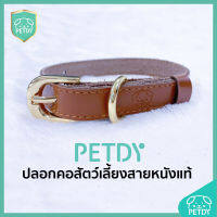 ปลอกคอสัตว์เลี้ยงสายหนังแท้ Petdy สีน้ำตาล