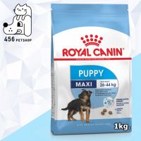 นาทีทอง ส่งฟรี [Ex01/22] Royal Canin 1kg. Maxi Puppy อาหารลูกสุนัข สูตรสำหรับลูกสุนัขพันธ์ุใหญ่