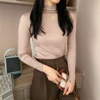 Women Turtleneck Long Sleeve Sweater Spring Autumn Thin Shirt Pullover Slim Simple Basic Solid Color Tops Jumper T Shirt Women