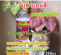 ปุ๋ยบอนสี คาลาเดียม โปร ขนาด 250ซีซี ใบสวย สีสด ใบสมบูรณ์แข็งแรง เร่งสี แทงหน่อ เร่งการเจริญเติบโต