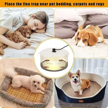 Flea Trap,Sticky Dome Bed Bug Trap,Indoor Pest Control Trapper Insect  Killer with 2 Glue Discs and Light Bulbs for Bugs Fleas,Flea Infestion  Natural