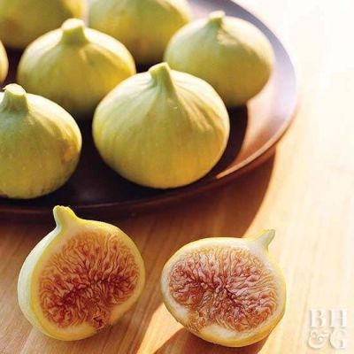 10 เมล็ด เมล็ดมะเดื่อฝรั่ง Figs สายพันธุ์ Desert King ของแท้ 100% มะเดื่อฝรั่ง หรือ ลูกฟิก (Fig) อัตราการงอก 70-80% Figs Seed มีคู่มือวิธีปลูก