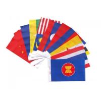 ธงรวมชุดอาเซียน ขนาด 20x30 cm. (1 ชุด)