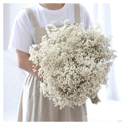 [AYIQ Flower Shop] การตกแต่งบ้านงานแต่งงานช่อดอกไม้ดอกยิปโซฟิล่า Paniculata ธรรมชาติเก็บรักษาไว้ดอกไม้แห้งสำหรับตกแต่งอุปกรณ์ประกอบฉาก