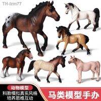 ? ของขวัญ Solid จำลองสัตว์ม้ารุ่นม้า foal ม้าสีดำม้า Maxima เด็กของเล่นความรู้ความเข้าใจรุ่นสัตว์ป่า