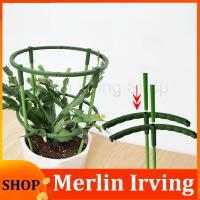 Merlin Irving Shop Plastic Flower Plant Support Pile Orchid Stand Holder For Semicircle Greenhouses Fixing Rod Holder Bonsai Garden Tools