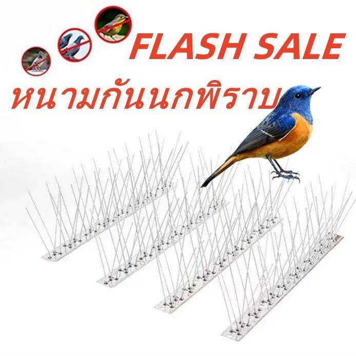 หนามกันนกพิราบ-ไล่นก-ป้องกันนก-กันนกพิราบ-อุปกรณ์ไล่นก-ตาข่ายดักนก-bird-spikes-สแตนเลส-สำหรับ-บ้าน-คอนโด-อาคาร-ทนทาน-ใช้งานง่าย-หนามไล่นก