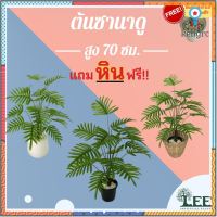 ต้นซานาดู สูง 70 ซม. 18 ใบ ต้นไม้ปลอมตกแต่งบ้าน (L36) ยอดขายดีอันดับหนึ่ง