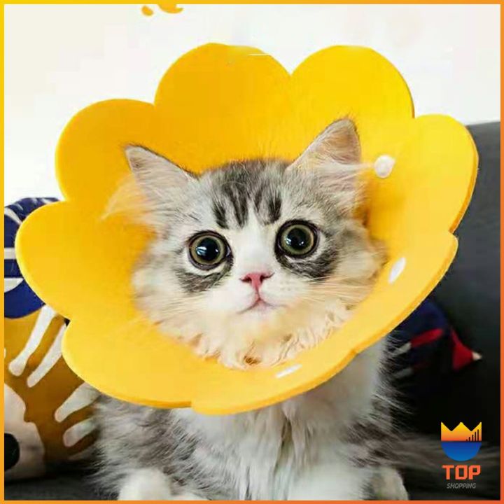 top-คอลล่าแมว-ปลอกคอดอกไม้-ปลอกคอกันเลีย-คอลล่าสุนัข-cat-coll