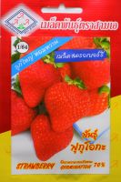 สตรอว์เบอร์รี พันธุ์ฟุกุโอะกะ Fukuoka Strawberry เมล็ดพันธุ์ตราสามเอ อัตราความงอก 70% จำนวนเมล็ด (ประมาณ) 5 เมล็ด