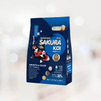 SAKURA KOI GROWTH &amp; COLOR 2 IN 1 FORMULA (Floating) 1.25kg - อาหารปลาคาร์ฟ สูตรเร่งโต เร่งสี (เม็ดลอย) 1.25กก.