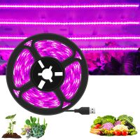 LED Grow Light Full Spectrum Phytolamp 5V USB Plant Light Strip 1m 2m 3m Phyto Lamp for Plants Flower Greenhouse Tent Hydroponic