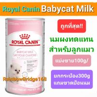 Royal Canin Babycat Milk นมผงแมว ยกระป๋อง 300g แบ่งขาย 100g นมผงทดแทนนมแม่ สำหรับลูกแมวแรกเกิด - หย่านม