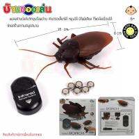 TAOTOY INFRAED REMOTE CONTROL GIANT ROACH แมลงสาบ บังคับวิทยุ พร้อมถ่าน ZT009